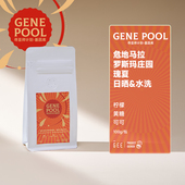 GeeCoffee寻豆师危地马拉罗斯玛庄园瑰夏日晒水洗精品咖啡豆100克