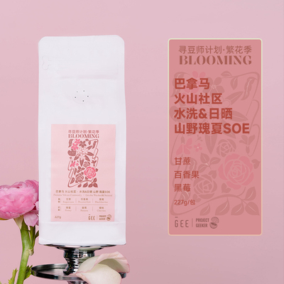 GeeCoffee寻豆师巴拿马火山社区水洗日晒山野瑰夏SOE咖啡豆227g包