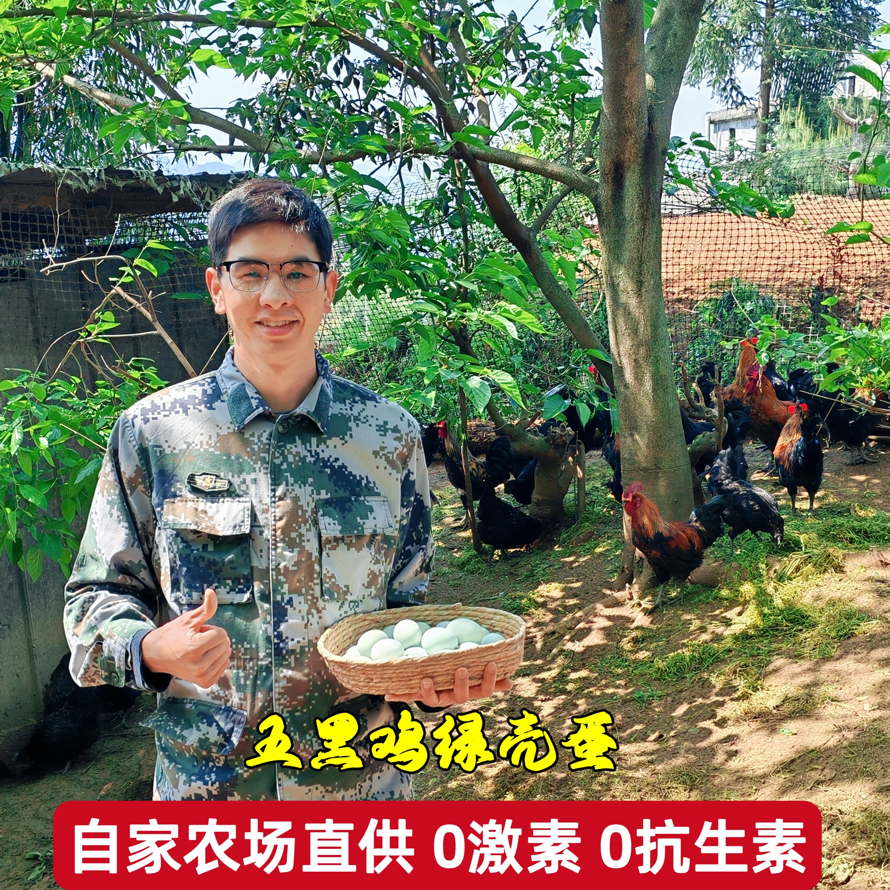 新鲜农家散养五黑乌鸡蛋月子蛋图片