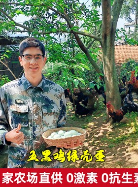 新鲜农家散养五黑乌鸡蛋月子蛋
