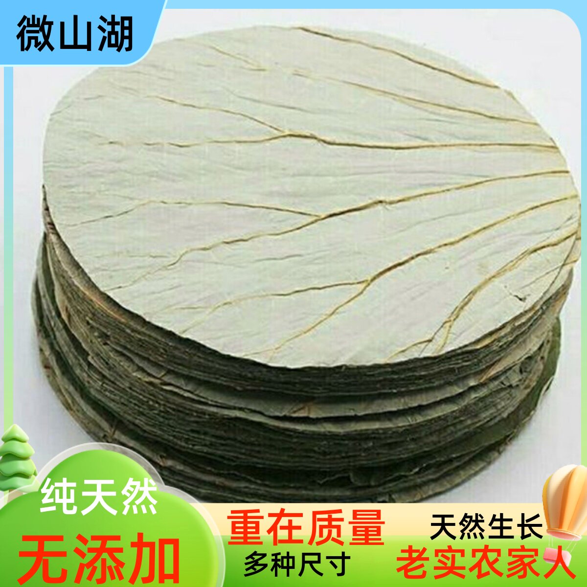 微山湖荷叶整张新鲜干荷叶圆片切片包糯米鸡专用22CM木桶饭