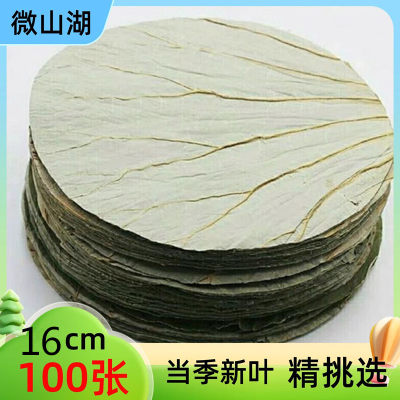 微山湖荷叶整张新鲜干荷叶圆片切片包糯米鸡专用16CM木桶饭