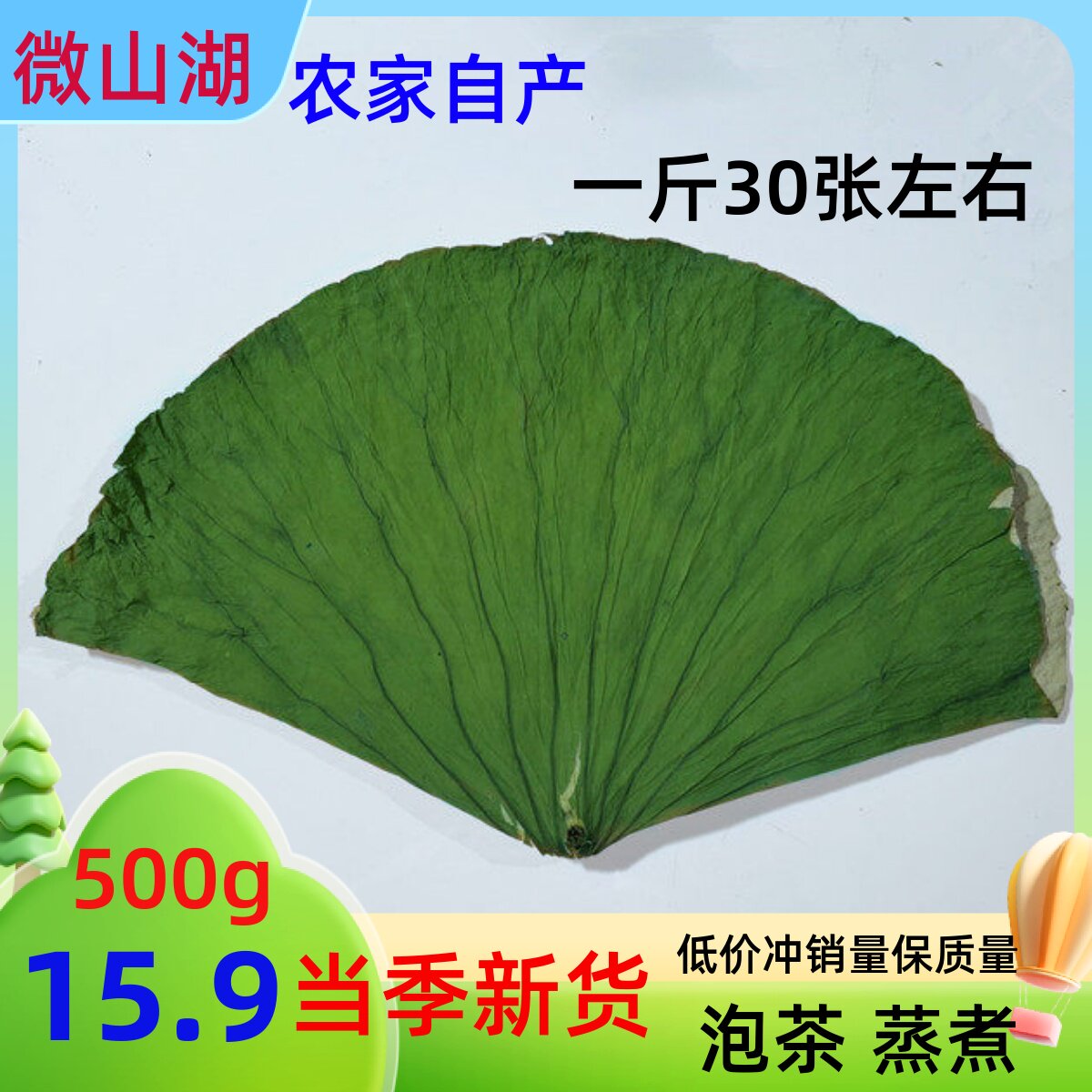 微山湖新鲜荷叶整张干荷叶250荷叶