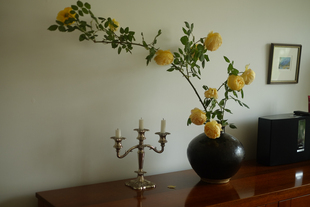 老的 乌金釉花器 黑花瓶 黑釉陶罐