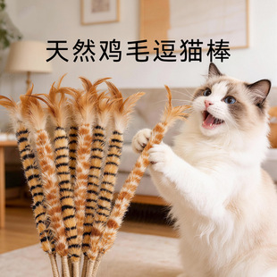 仿真鸡毛掸子逗猫棒羽毛麻绳手柄耐抓咬自嗨解闷消耗体力宠物用品