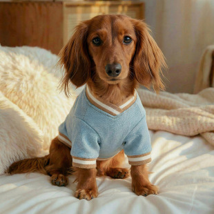 PETCIRCLE宠物衣服狗狗衣服春款 泰迪比熊幼犬卫衣 纽约牛仔棒球衫