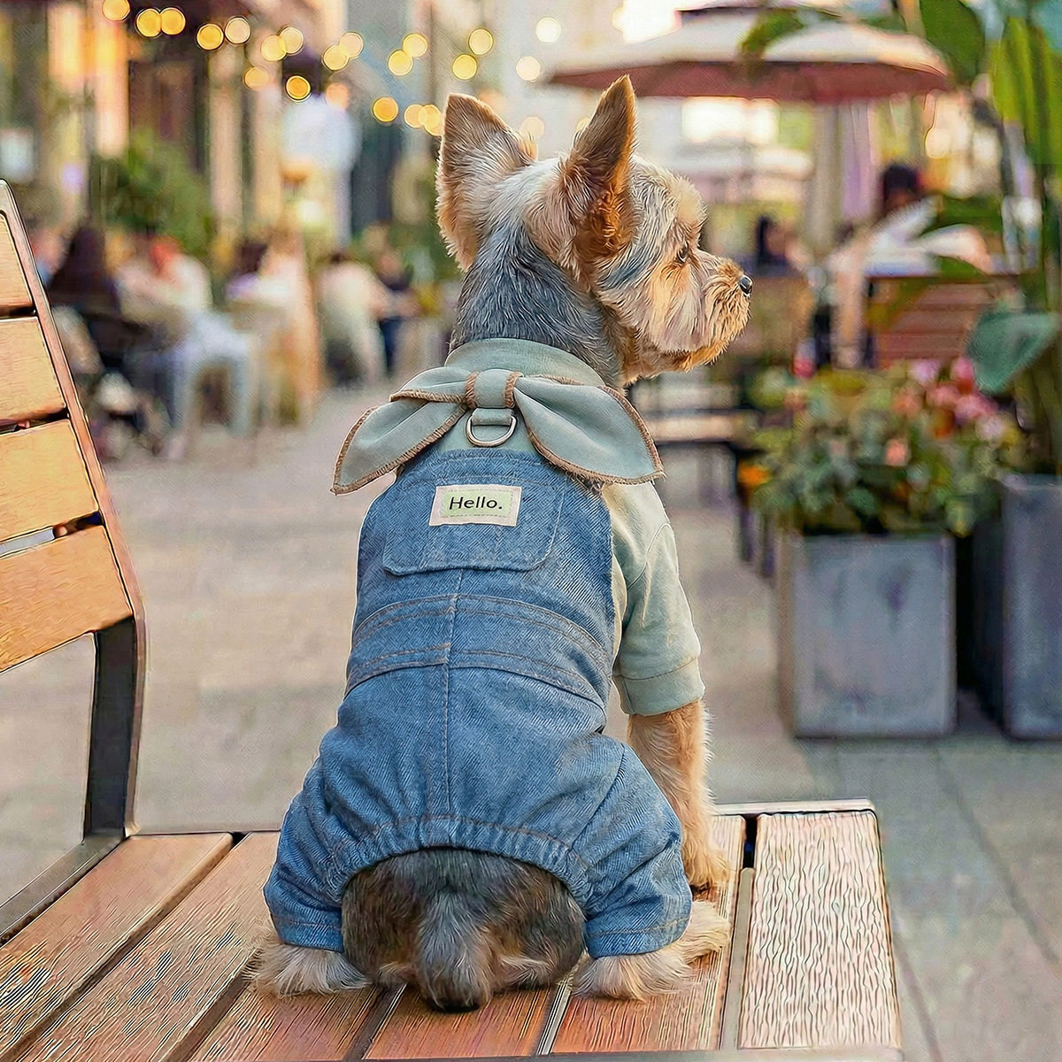 春款PETCIRCLE蝴蝶结背带裤狗装