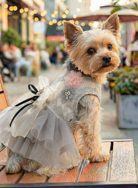 PETCIRCLE宠物服装猫咪狗狗衣服春夏新款香风系列灰蕾丝皇冠婚纱