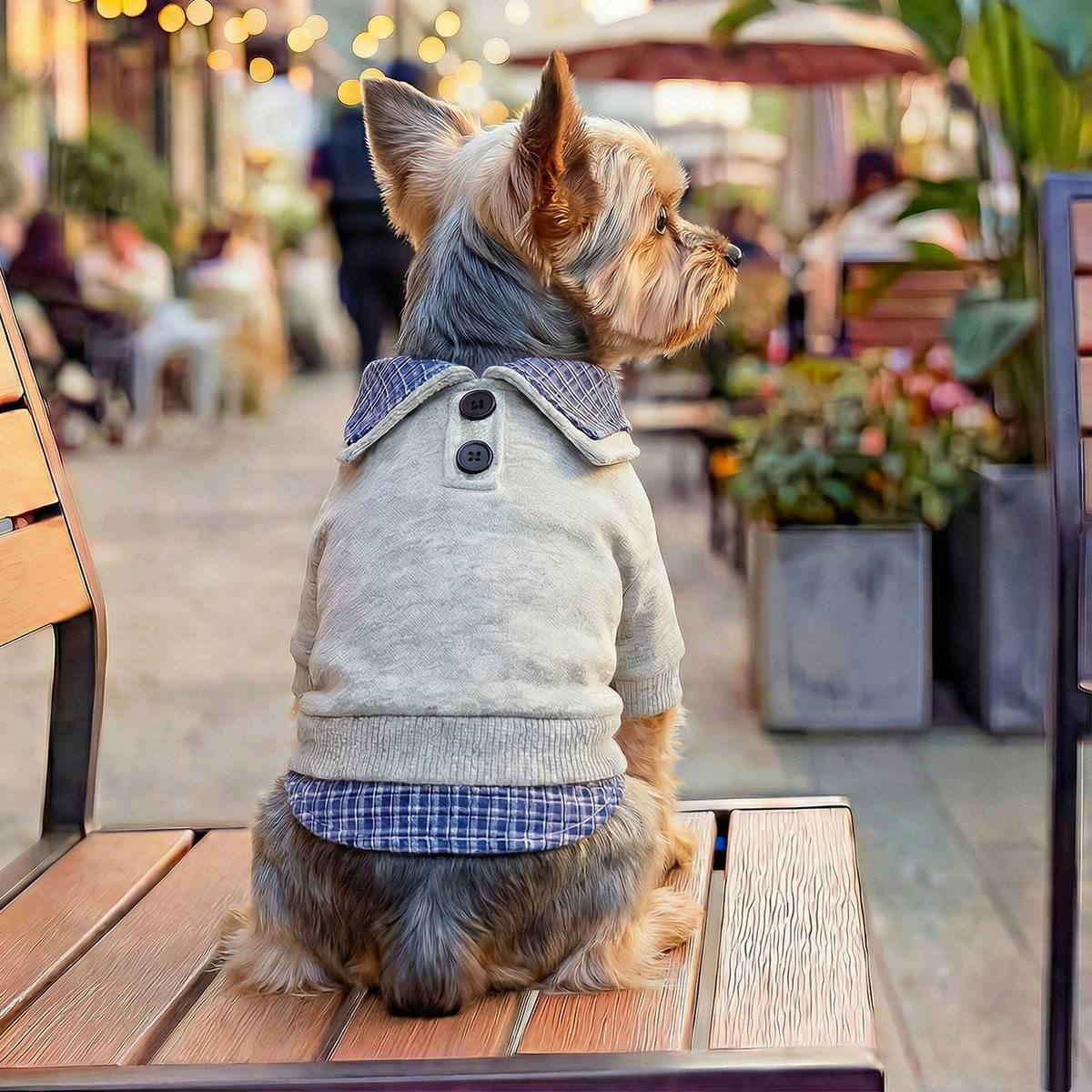 PETCIRCLE宠物服装小狗狗猫咪衣服春夏新款蓝格领学院风卫衣泰迪