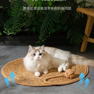 天然蒲草垫子四季通圆形藤编猫抓板猫抓垫不掉屑宠物猫咪用品