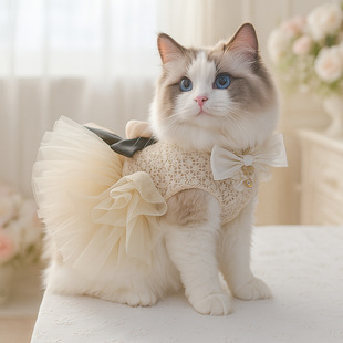 宠物小狗猫咪衣服小型犬春夏可可小姐婚纱公主风狗狗裙
