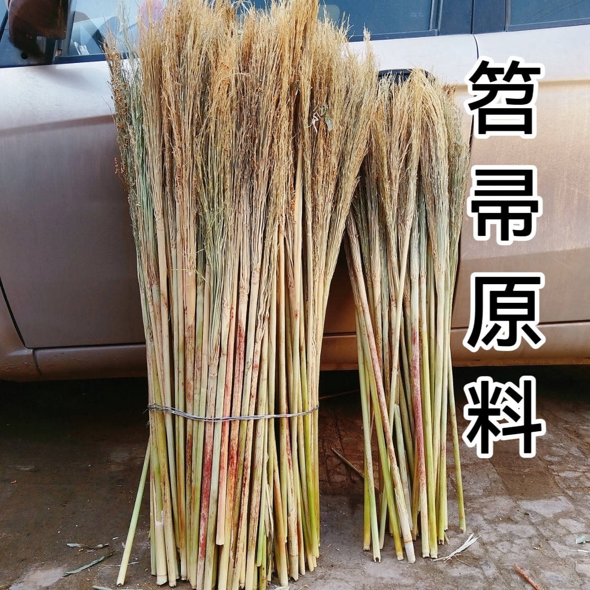 金丝苗扫把原料老式高粱苗笤帚原料环保净苗无籽锅刷原料新苗干净