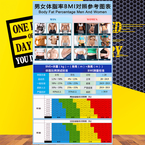 身体评估指数表人体态体脂率壁画