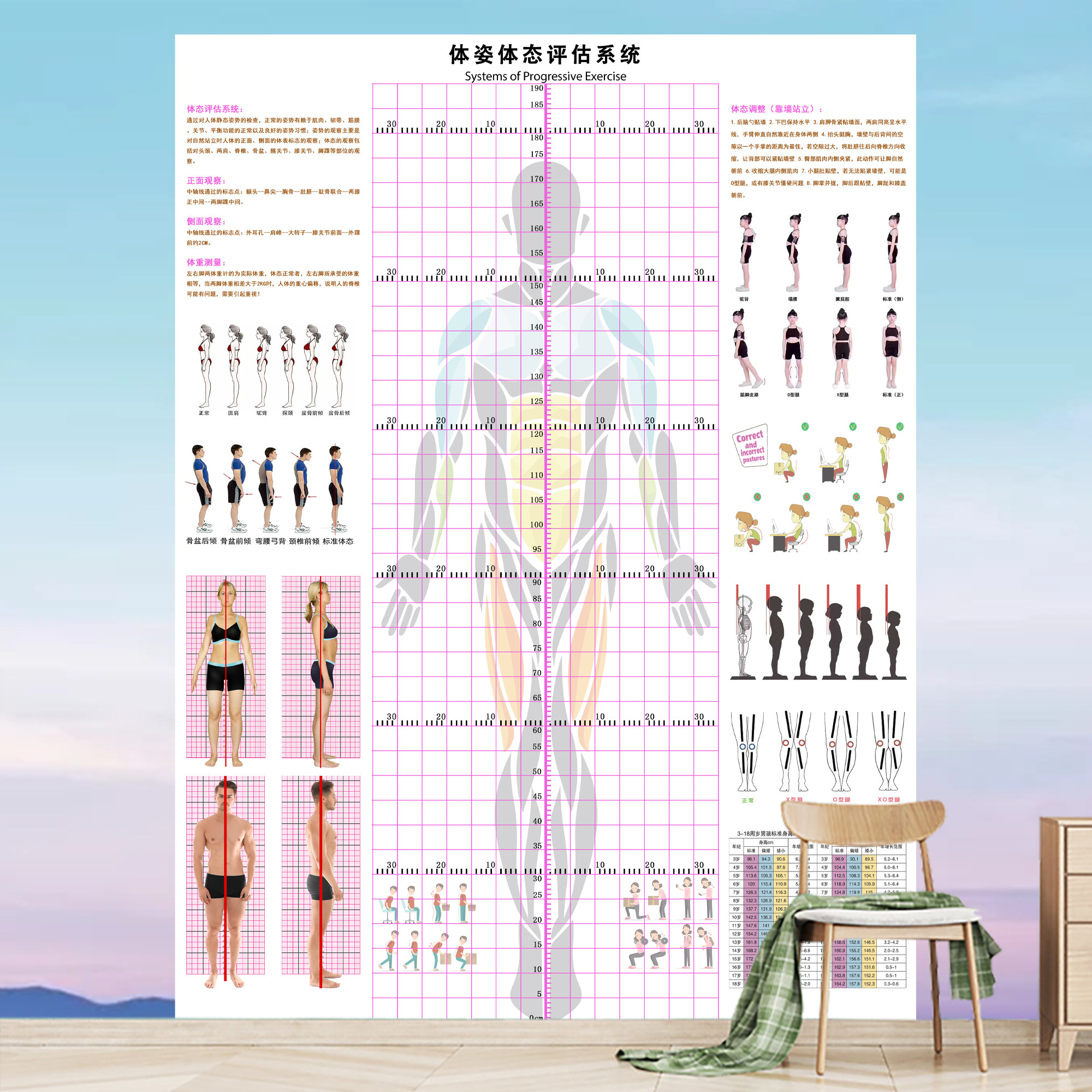 成人儿童通用体态评估表健身瑜伽馆形体测量模特舞蹈培训壁画墙纸