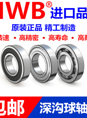 高速轴承6300 6301 6302 6303 6304 6305 6306进口-2 Z ZZ RS DU