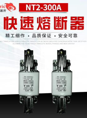 上海陶瓷厂飞灵NT2-300A快速熔断器660VRT16-2低压熔断器350A400A