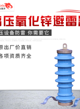 Y5WS-17/50FT-10KV瓷外套氧化锌避雷器Y5WS-17/45FT免维护避雷器