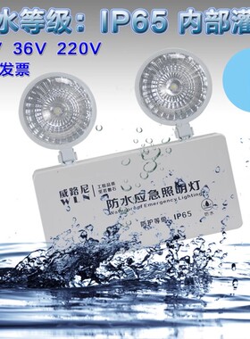 防水消防应急灯充电LED室外户外灌胶IP65新国标36V安全疏散照明灯