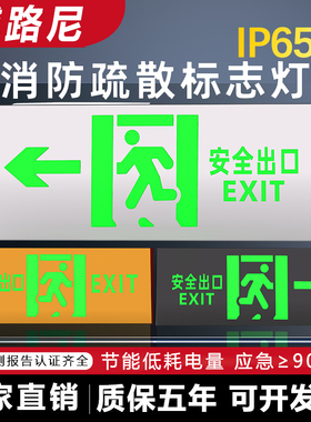消防应急指示牌不锈钢安全出口灯LED疏散标志灯楼层通道接电紧急