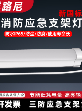 防水三防应急灯户外防水防潮车间厂房冷库PC三防灯IP65防水应急灯