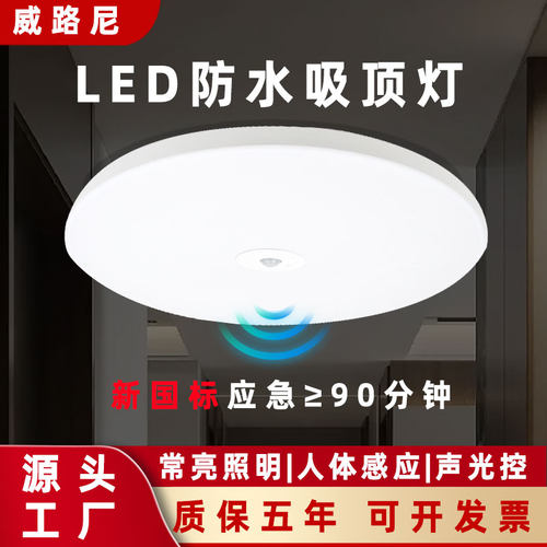 防水人体感应吸顶灯 led楼道楼梯间走廊车库红声光控外雷达感应