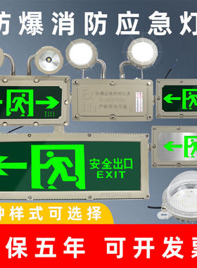 防爆EX应急灯安全出口疏散指示灯加油站灯矿消防紧急双头标志36V