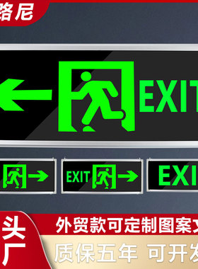 外贸款消防应急灯EXIT出口标志灯 led通道紧急安全出口指示灯定制