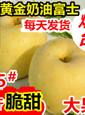 脆甜黄金奶油富士烟台栖霞苹果5斤1包邮山东奶油富士白色苹果礼盒