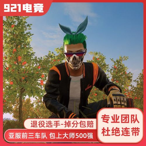 绝地求生PUBG陪打代练竞技上分冲大师生存者保镖匹配娱乐刷KD车队
