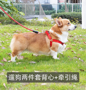 2米3米加长狗狗牵引绳狗绳子遛狗绳泰迪金毛宠物大型中型小型犬狗