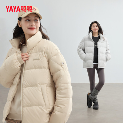 纯色简约时尚百搭立领鸭绒羽绒服