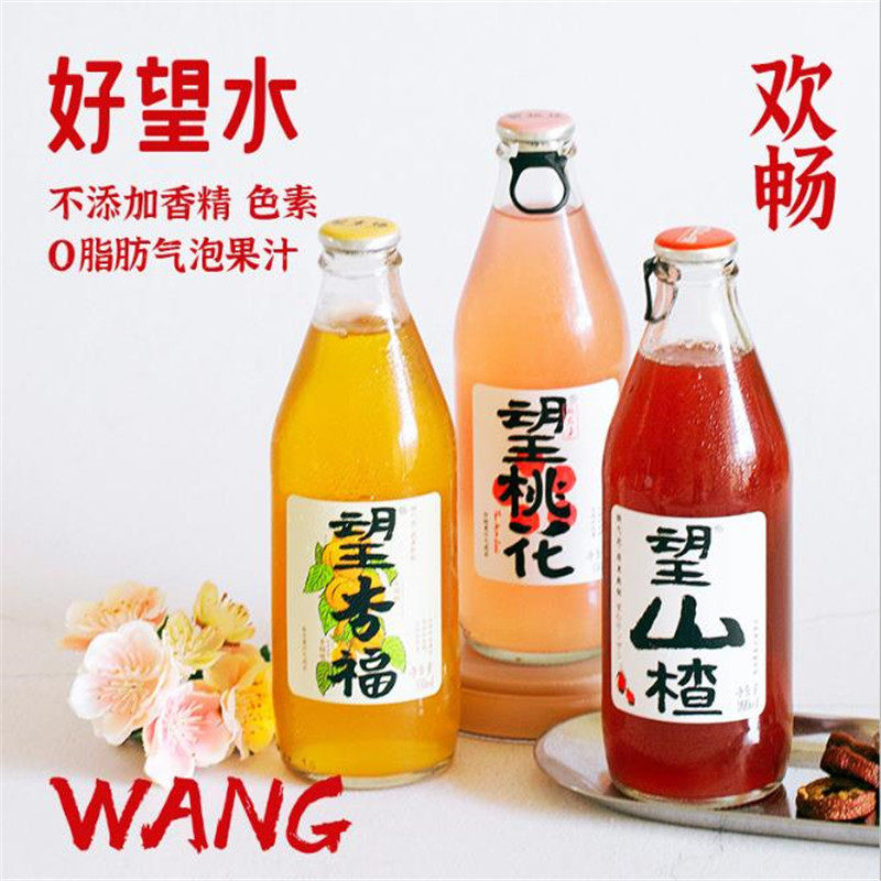 好望水山楂气泡水望桃花望杏福果汁山楂气泡水饮料整箱300ml*6瓶