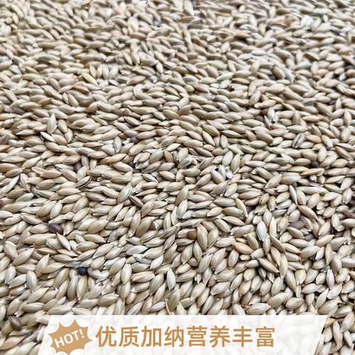 鸟食饲料加纳利子白尖粟虎皮牡丹玄凤金丝雀芙蓉鹦鹉黄雀鸟粮鸽粮