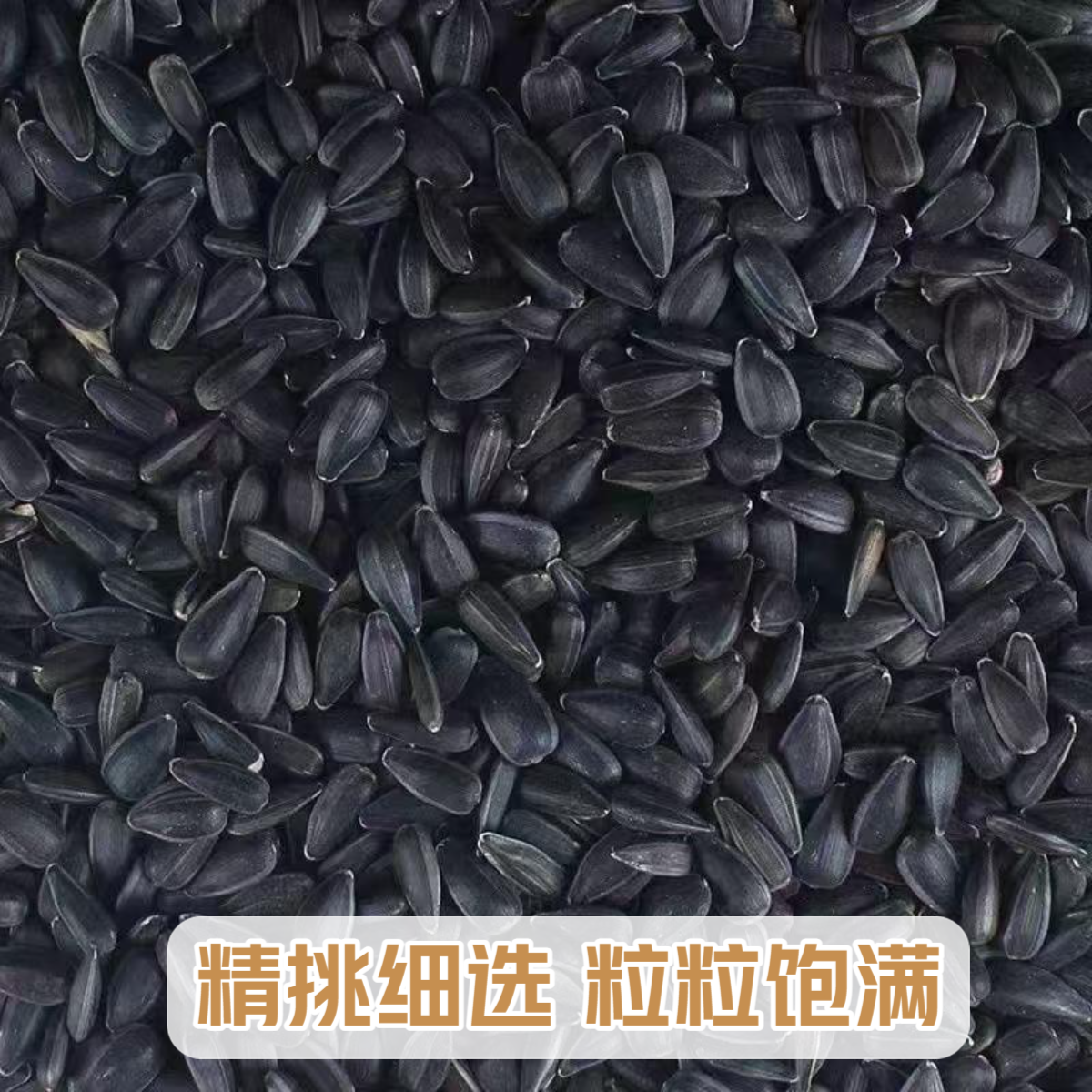 鹦鹉玄凤牡丹虎皮仓鼠饲料鸟食油葵小瓜子鸟用零食训练奖励鸟粮