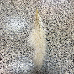 仿真芦苇麦穗干花把束粉黛喷泉草蒲扇兔尾巴草婚礼装饰品拍摄道具