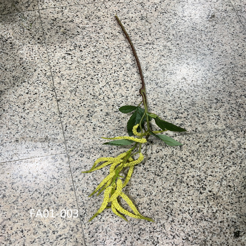 仿真杨树毛黄绿色尤加利叶荷叶凤尾草公园绿化装饰园林造景摆件