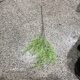 仿真绿植蕨草龙须草鼠尾草白色尤加利叶室内外装饰拍摄道具装饰