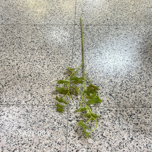 仿真单支日本吊钟多瓣叶枫叶天堂鸟鹤望兰仿真花艺橱窗摆件装饰品