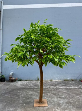 仿真芒果树大型假树室内果树装饰水果店超市活动展示道具摆件