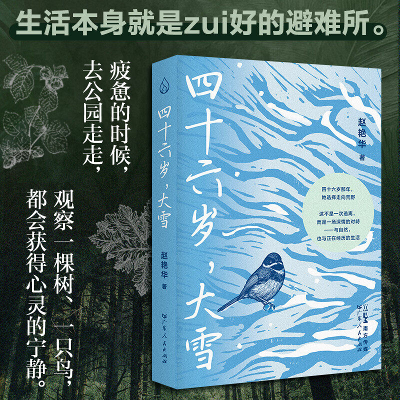 四十六岁，大雪 赵艳华著 失去挚爱后自愈 女性成长散文 自然文学 心灵治愈 真实故事纪实文学 乐府文化 广东人民出版社