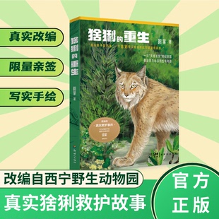 猞猁的重生 真实猞猁救护故事 小学生课外读物 儿童文学小说