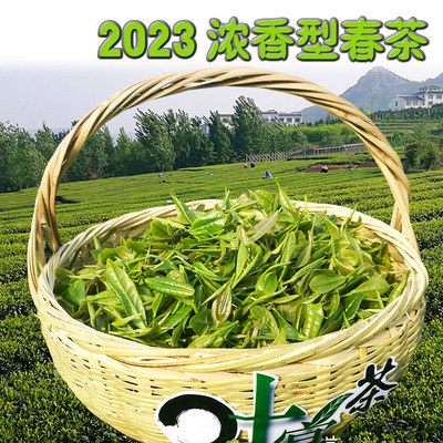 7年老店山东日照绿茶2023新茶板栗浓香型5月头轮春茶500g一芽两叶