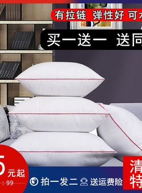 买一送一送同款】抱枕芯沙发靠枕靠垫芯40 45 50 55 60 70方枕芯