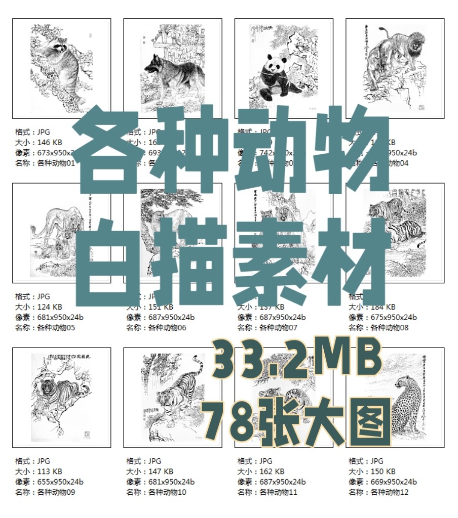 国画工笔白描底稿熊猫老虎松鼠小鹿花鸟线稿勾线电子版高清素材