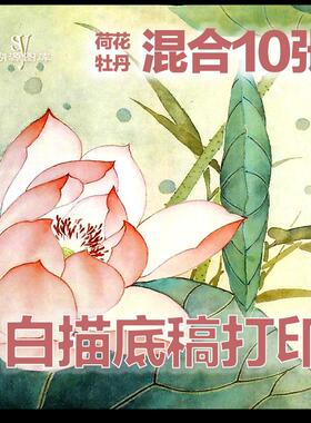 国画工笔花卉成人学生初学山水人物花鸟白描底稿打印高清素材图片