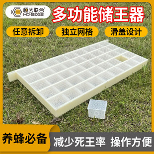 新型多功能塑料储王器中蜂意蜂蜜蜂囚王笼蜂王关王器储王盒蜂具