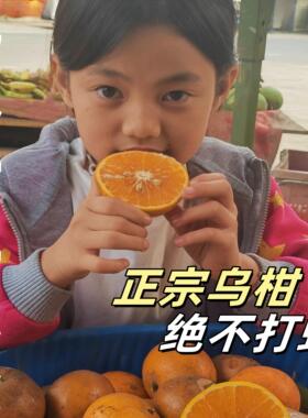 云南生态不打药乌沃应季水果丑橘现採新鲜发货顺丰随机发货