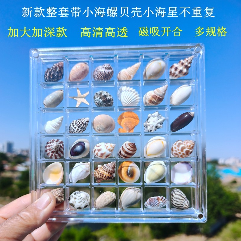 天然小贝壳收纳盒磁吸相框海螺展示盒透明海边装海星标本收集盒子,家居饰品,海螺/贝壳/珊瑚,淘宝优惠券,粉丝福利购,淘宝优惠卷