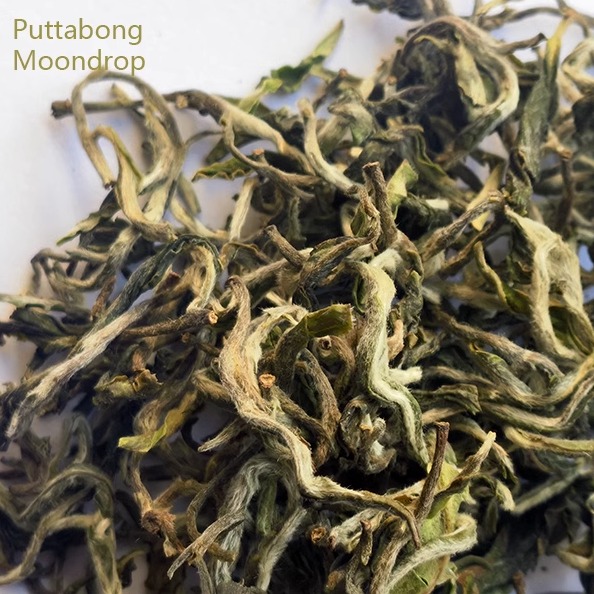 2024印度直送大吉岭春摘茶Puttabong Moondrop普塔邦茶园限量25g 茶 锡兰/阿萨姆/大吉岭/进口红茶 原图主图