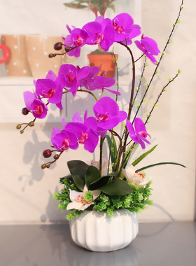 pu手感仿真花蝴蝶兰套装客厅过胶假花摆件花艺装饰品室内兰花盆栽